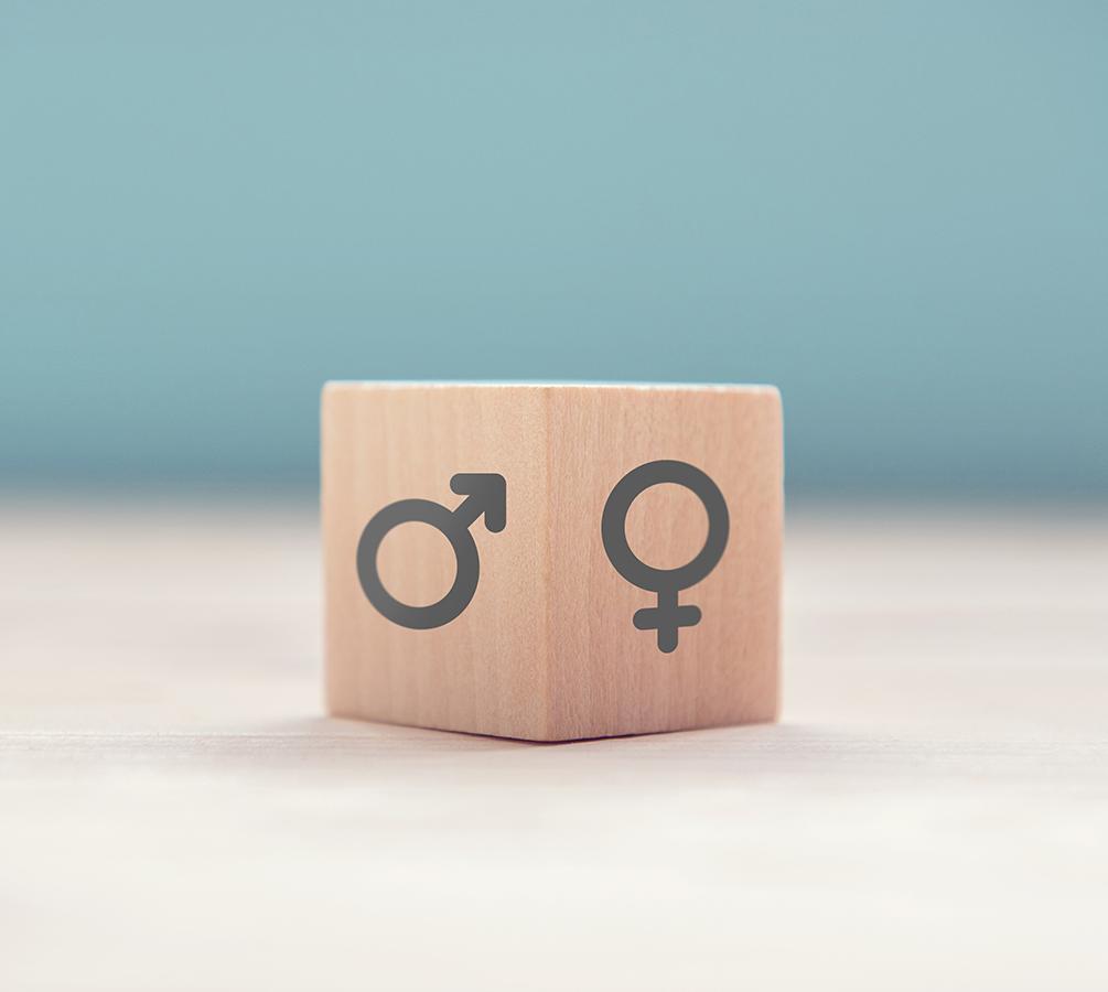 égalité femmes et hommes