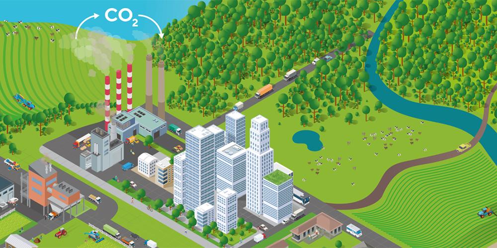 Visuel rapport neutralité carbone