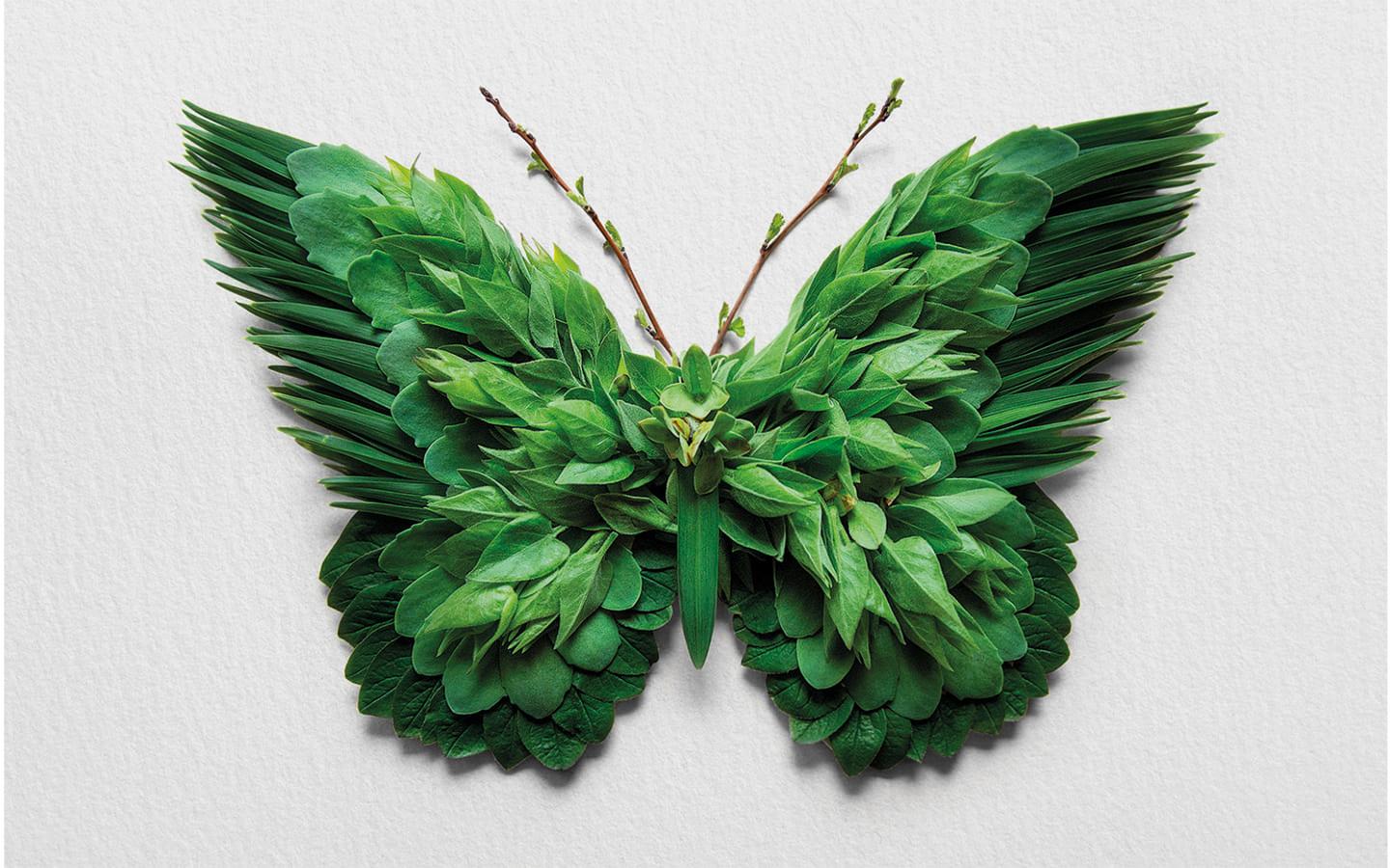 Visuel Carte voeux CESER 2020