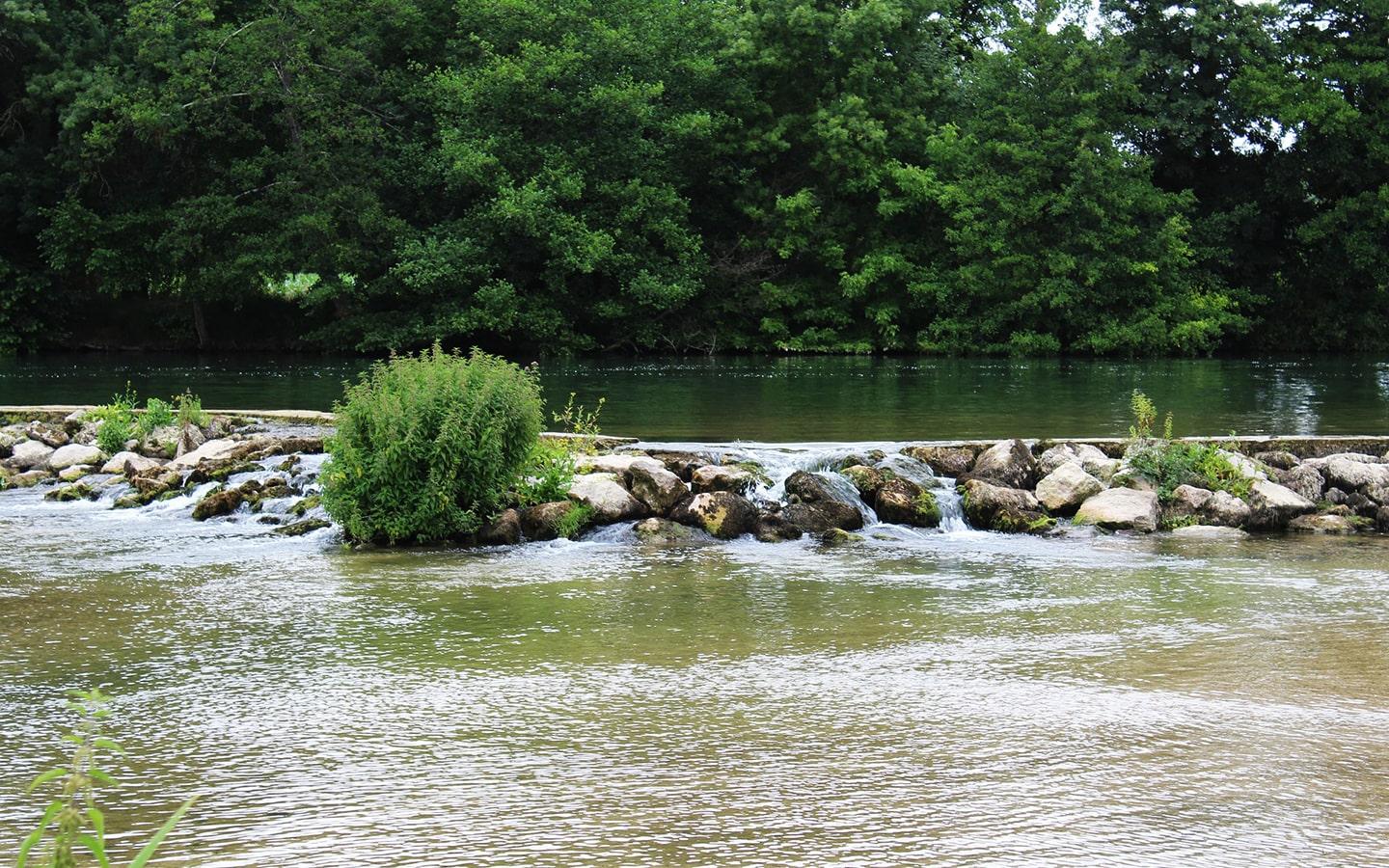 La rivière Charente