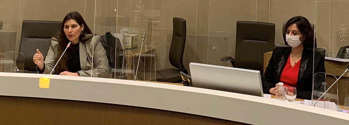 Plénière du 01/02/2022