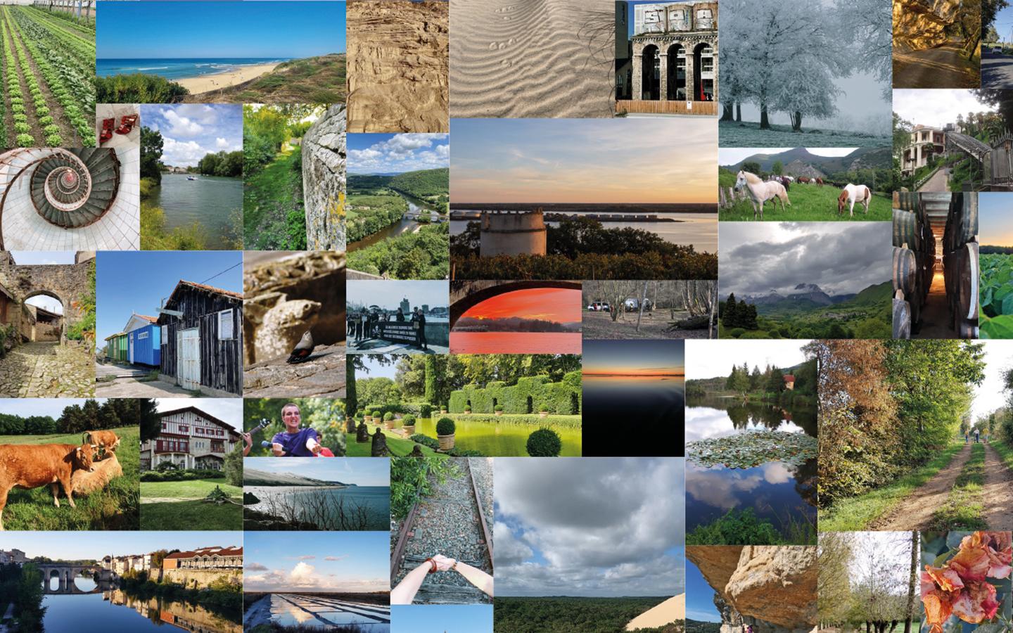 Visuel vœux 2024 CESER