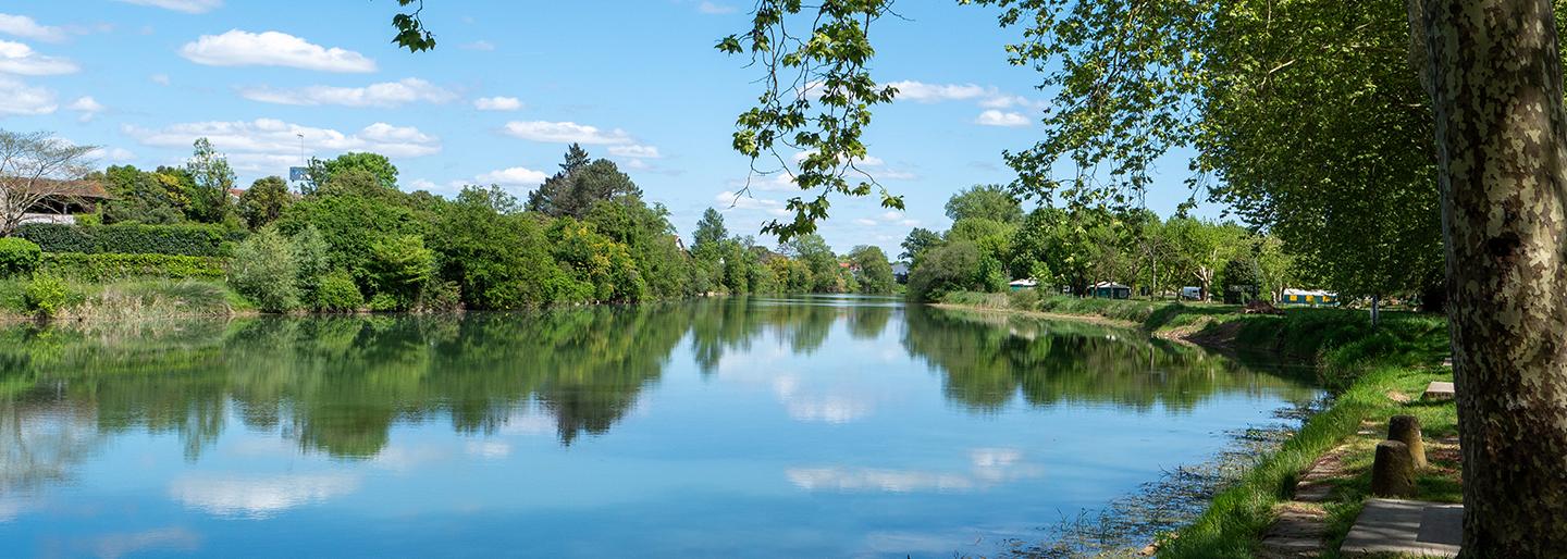 L'Adour dans les Landes