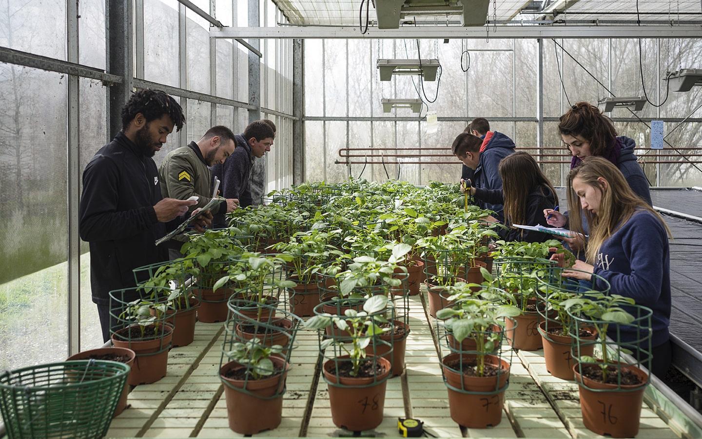 Apprentis lycée agricole