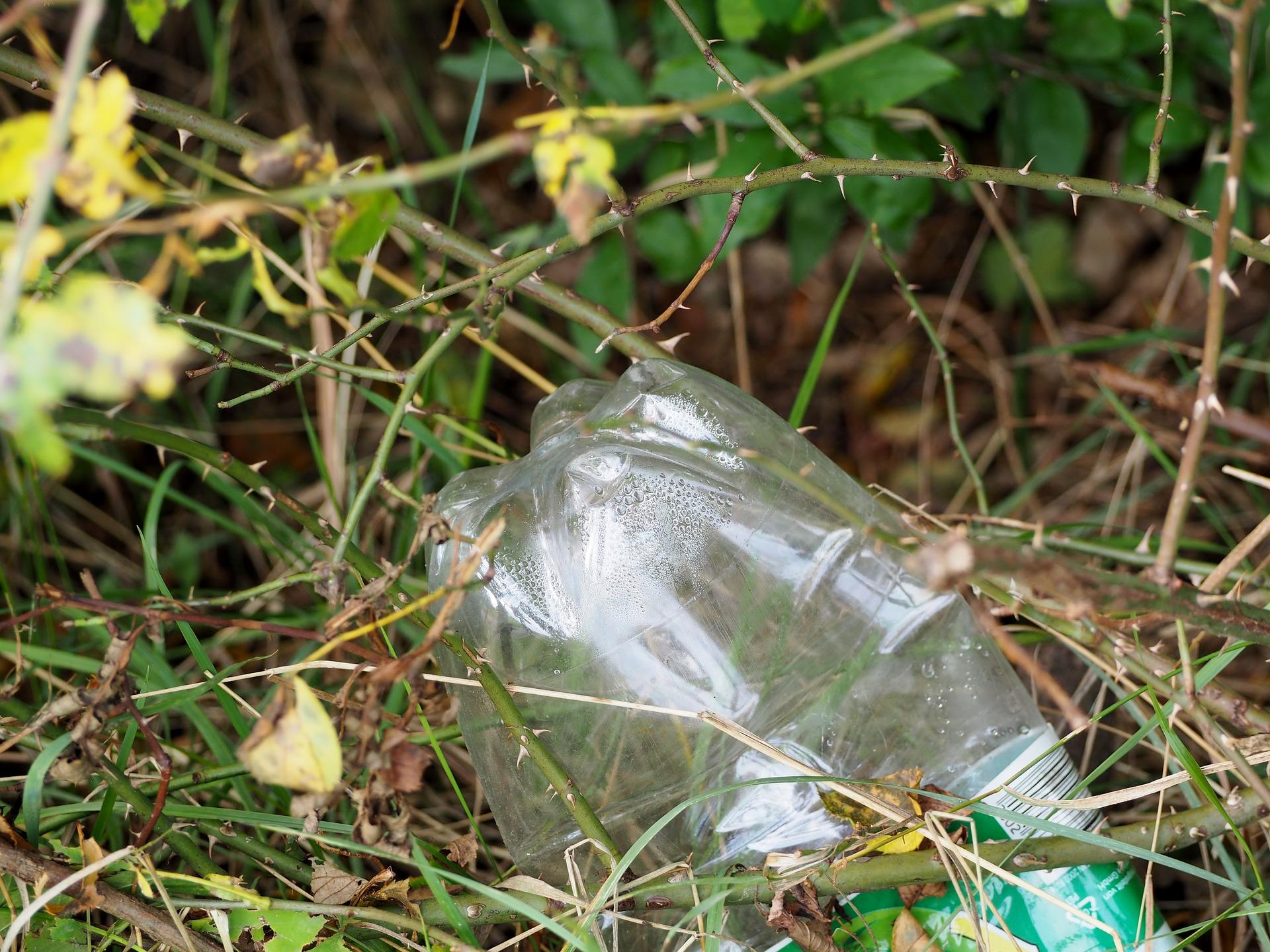 Bouteille plastique dans la nature