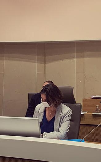 Plénière  du CESER du 24 mars 2021