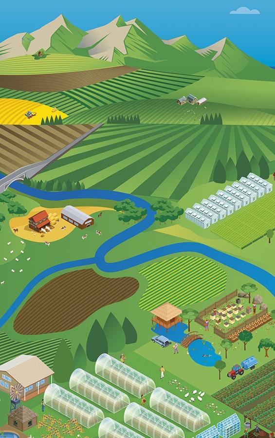 Visuel de la couverture du rapport  Agricultures du CESER