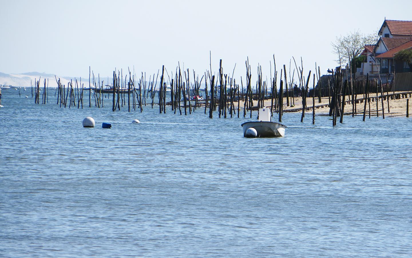 Bassin Arcachon 