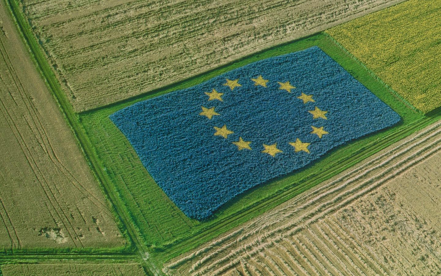 Drapeau européen