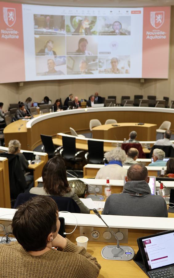 Plénière - décembre 2024