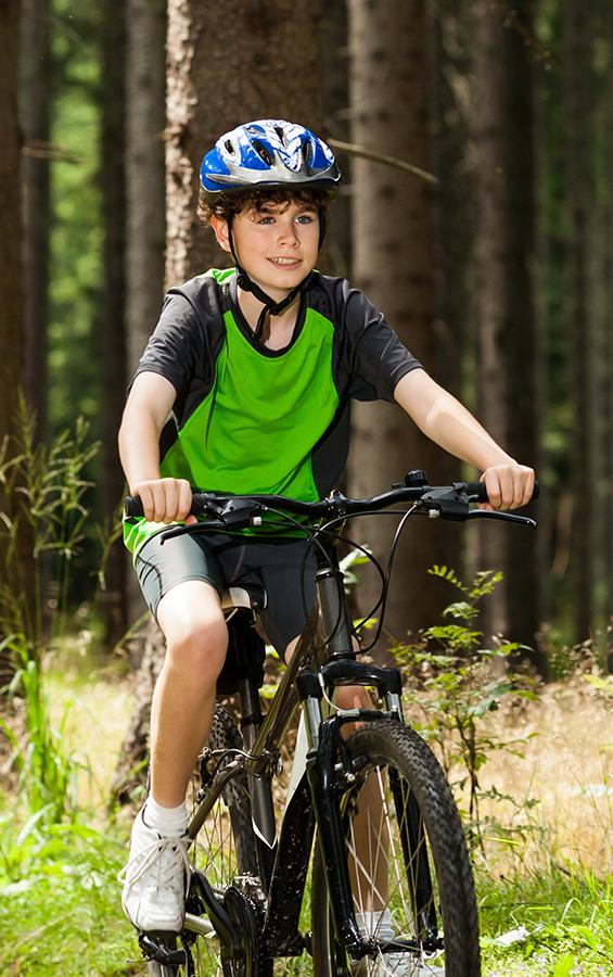 Vélo forêt