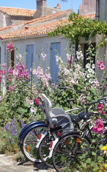 Ile d'aix